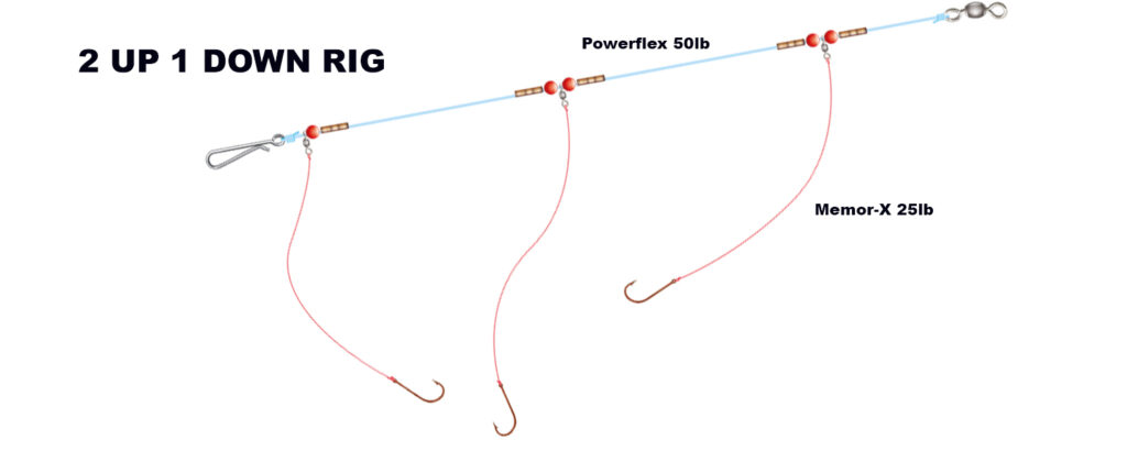 Image of 2 UP 1 DOWN RIG