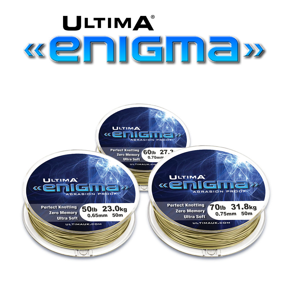 Ultima Enigma