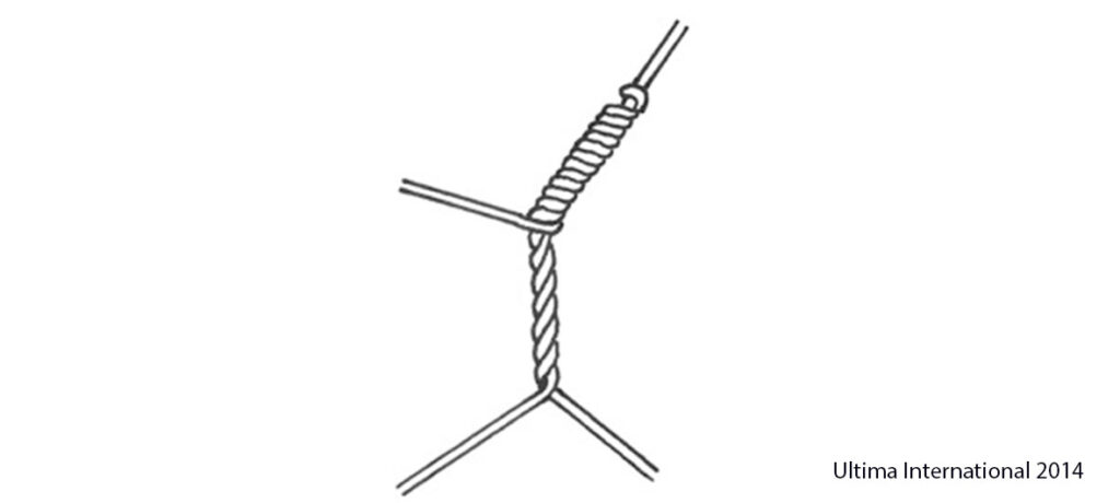The Bimini Twist Knot - Step 4 - Ultima UK How To Tie a Bimini Twist Knot - Step 4