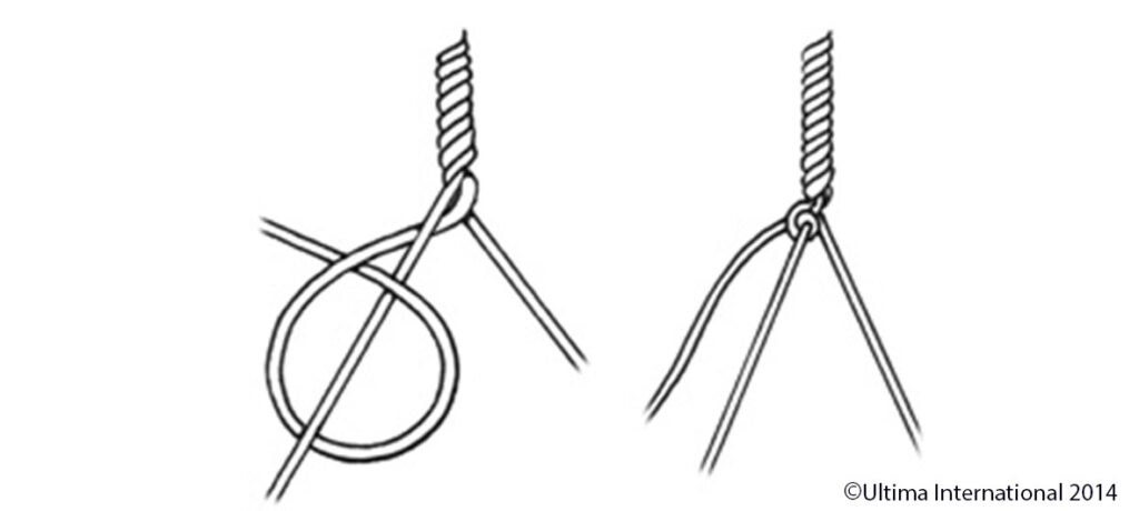 The Bimini Twist Knot - Step 5 - Ultima UK How To Tie a Bimini Twist Knot - Step 5