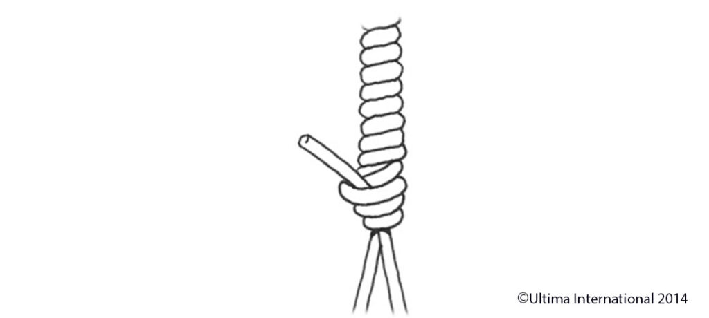 The Bimini Twist Knot - Step 7 - Ultima UK How To Tie a Bimini Twist Knot - Step 7